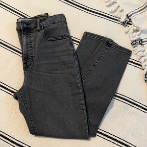 Everlane Authentic Stretch High Rise Skinny Jean